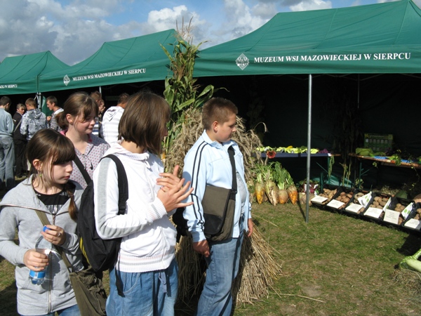skansen32.jpg
