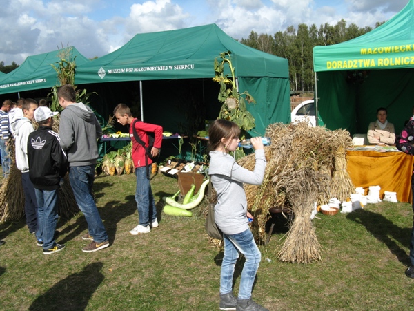 skansen33.jpg