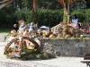skansen37_t1.jpg