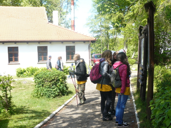 jastrzebia8.jpg