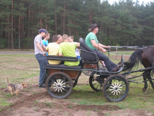 konie17.jpg