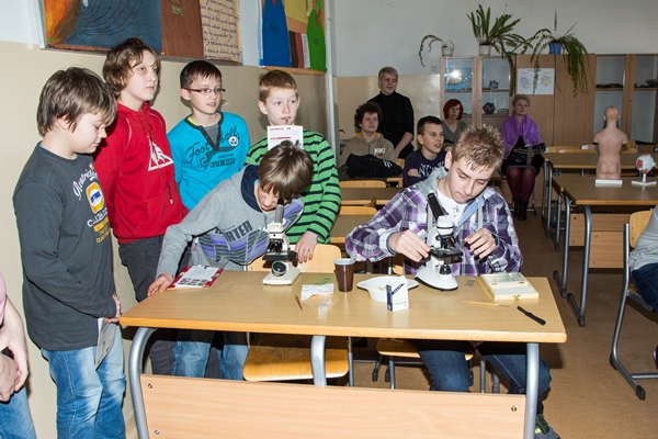 31.jpg