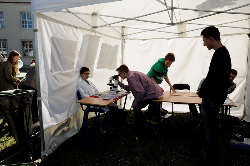 festiwal_nauki17.jpg