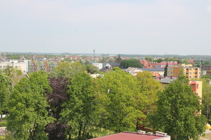ekonomik31.jpg