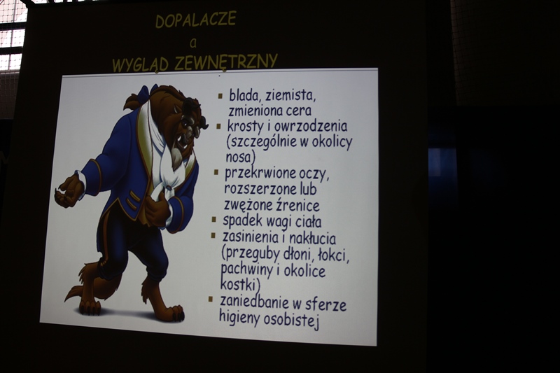 dop13.jpg