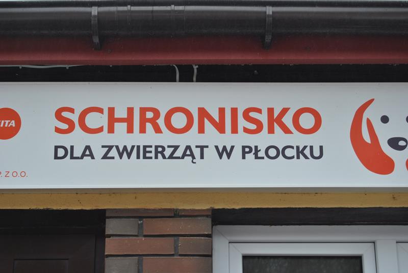 pieski02.jpg