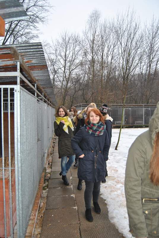 pieski08.jpg